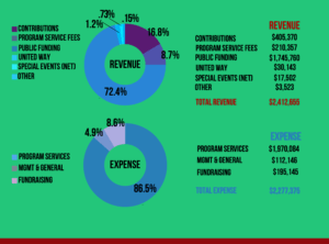 2020 in Review graphs